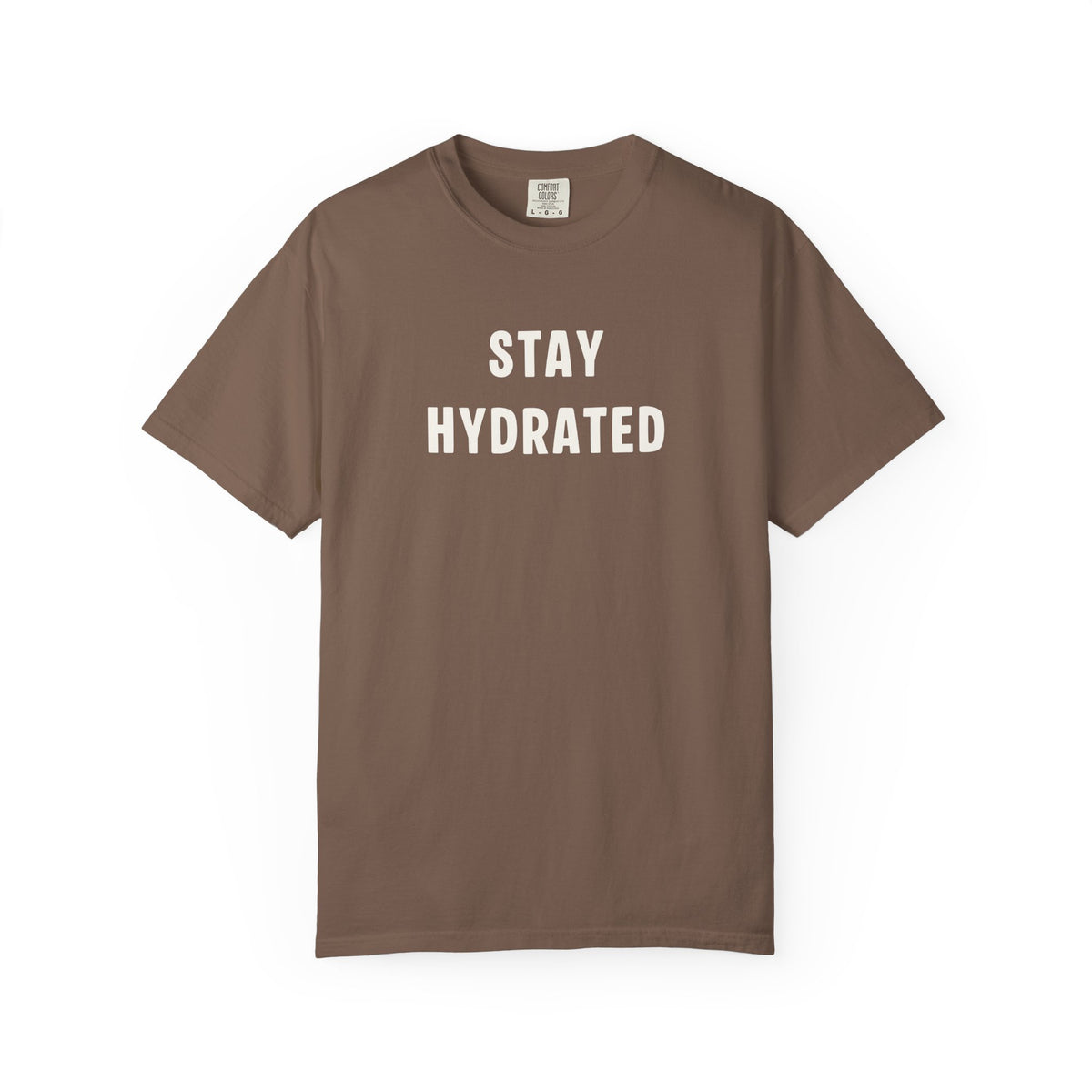 Hydrate Reminder T-shirt, Stay Hydrated Tee, Unisex Shirt, Summer PSA Top, Lightweight Garment-Dyed Tee