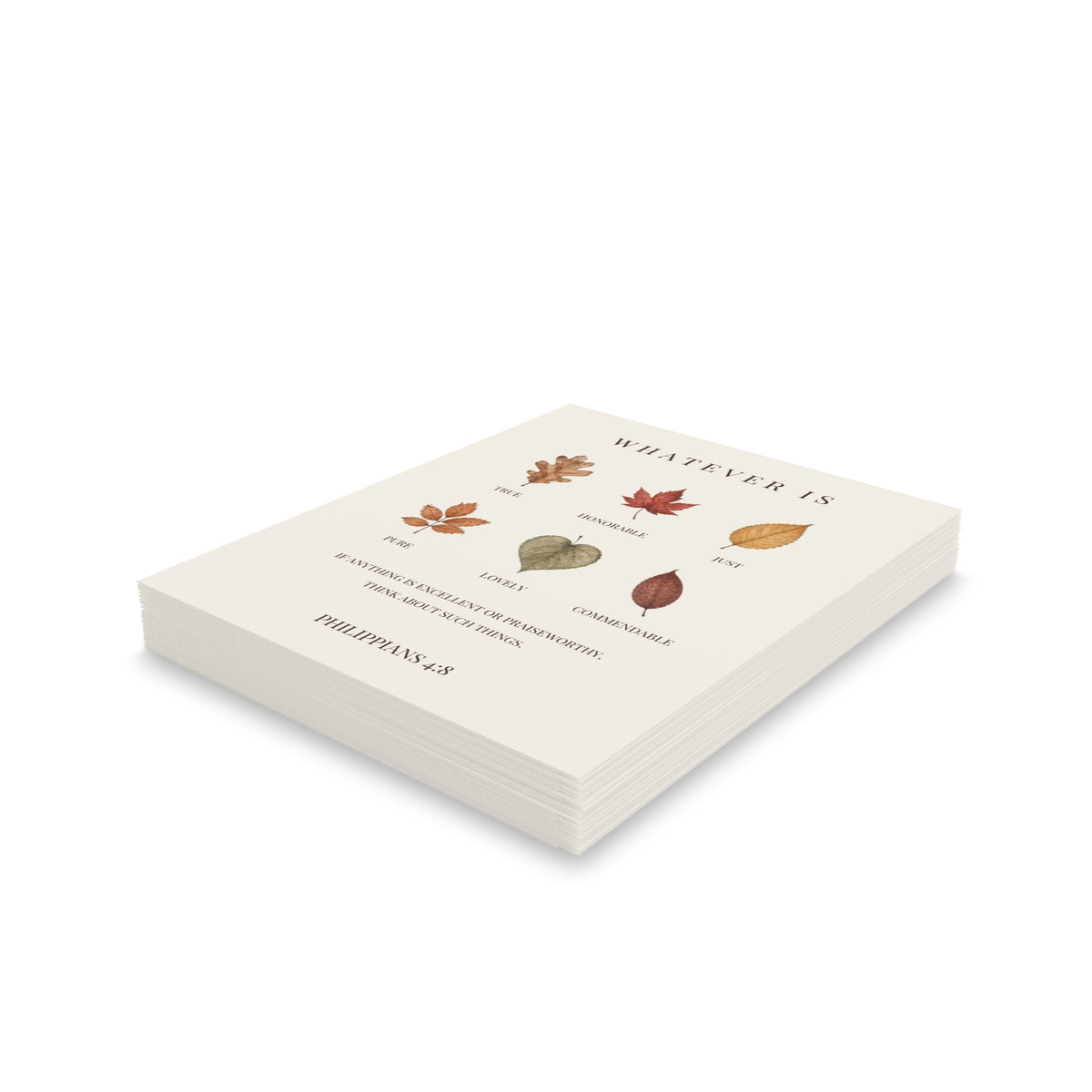 Philippians 4:8 Thanksgiving Christian Card Set