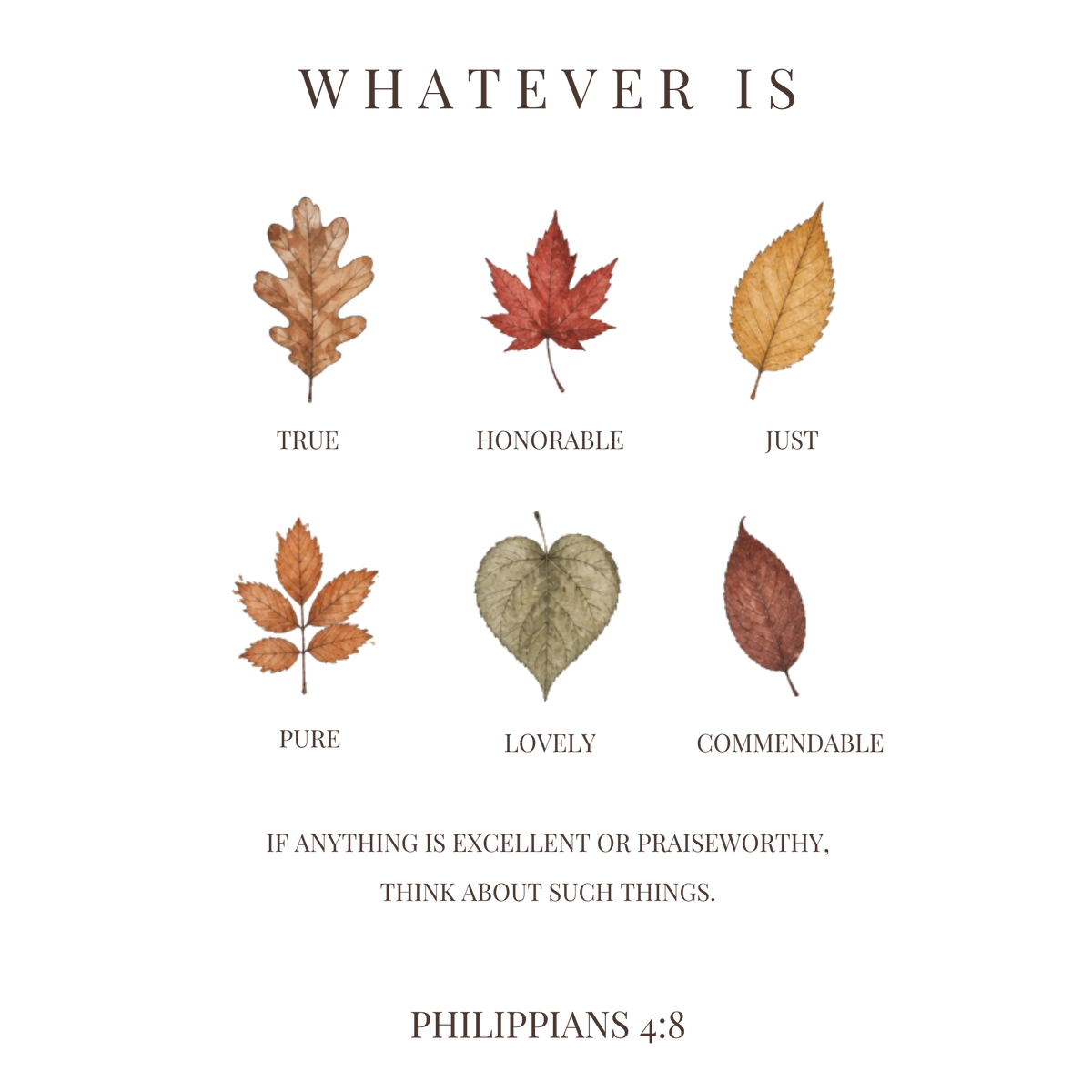 Philippians 4:8 Thanksgiving Christian Card Set