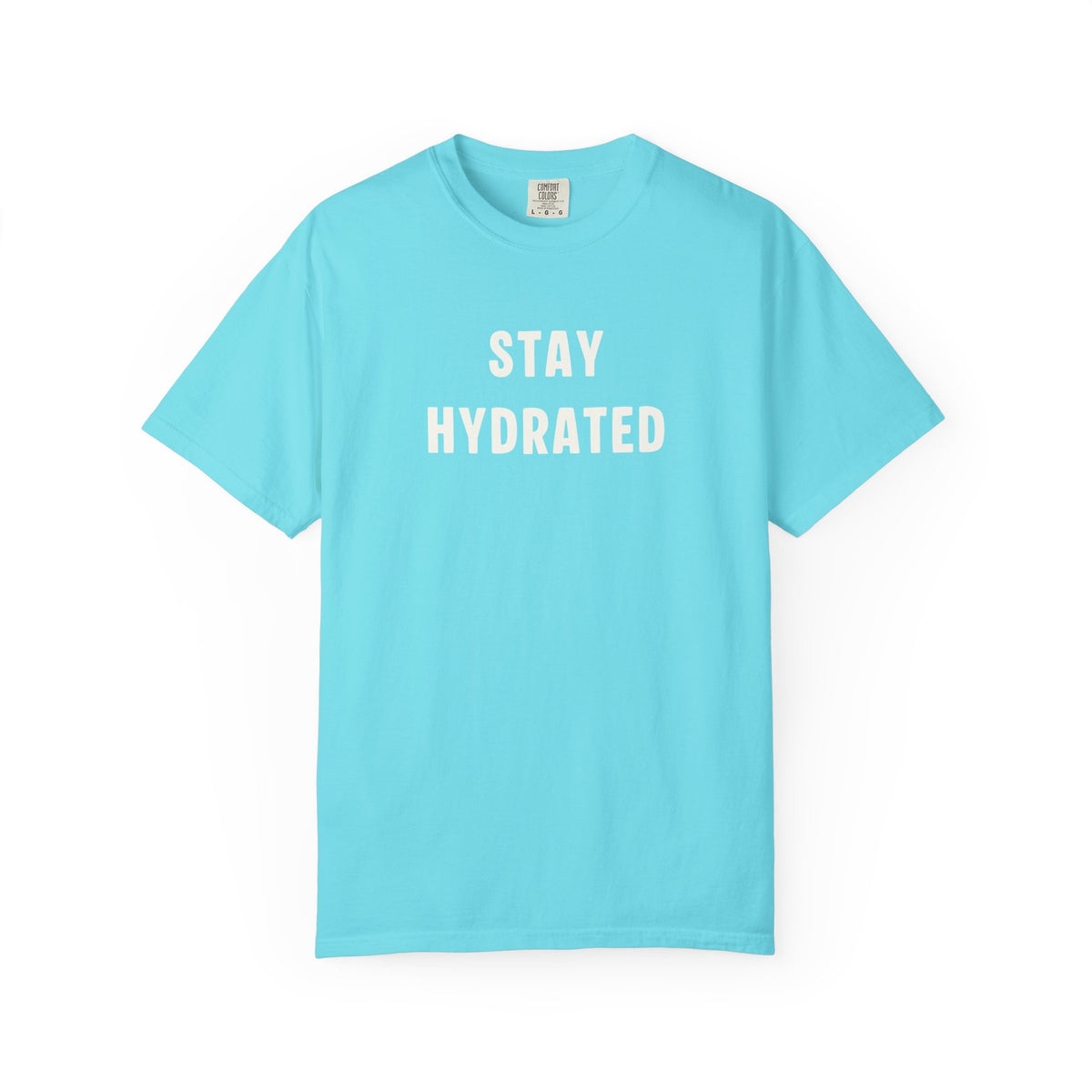 Hydrate Reminder T-shirt, Stay Hydrated Tee, Unisex Shirt, Summer PSA Top, Lightweight Garment-Dyed Tee